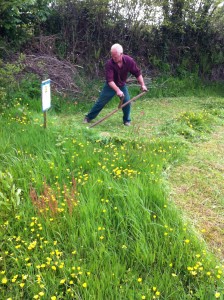 Scything as a way of grass management